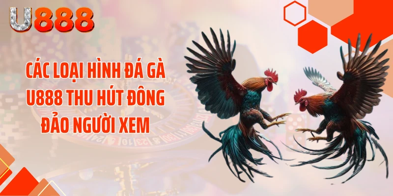 Đá Gà U888 - Xé Tan Màn Đêm Với Những Cú Đá Cực Gắt - SLOTCOMPASS89