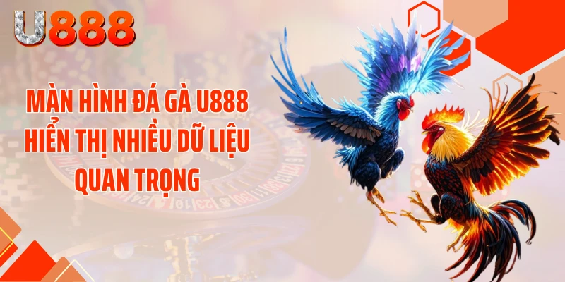Đá Gà U888 - Xé Tan Màn Đêm Với Những Cú Đá Cực Gắt - SLOTCOMPASS89